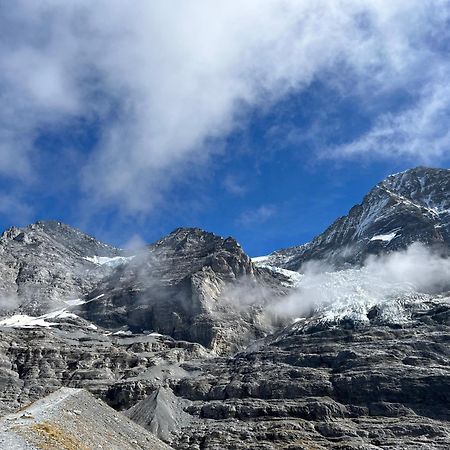 Chalet Viola Leilighet Wengen Eksteriør bilde