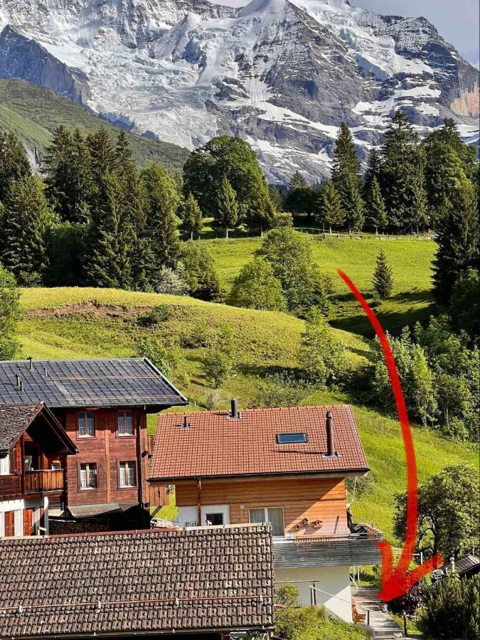 Chalet Viola Leilighet Wengen Eksteriør bilde