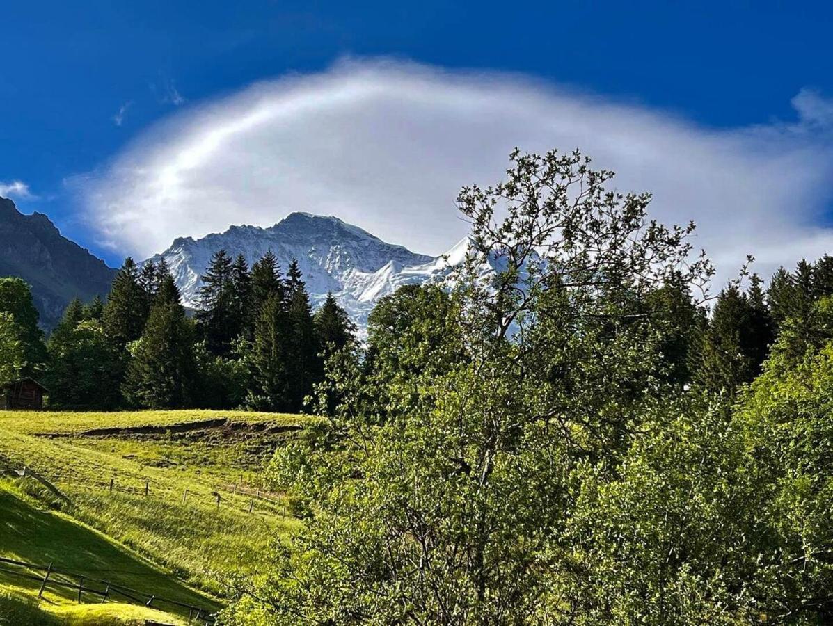 Chalet Viola Leilighet Wengen Eksteriør bilde