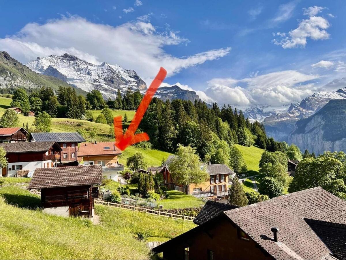 Chalet Viola Leilighet Wengen Eksteriør bilde