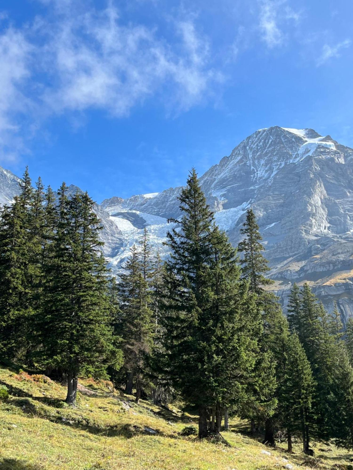 Chalet Viola Leilighet Wengen Eksteriør bilde