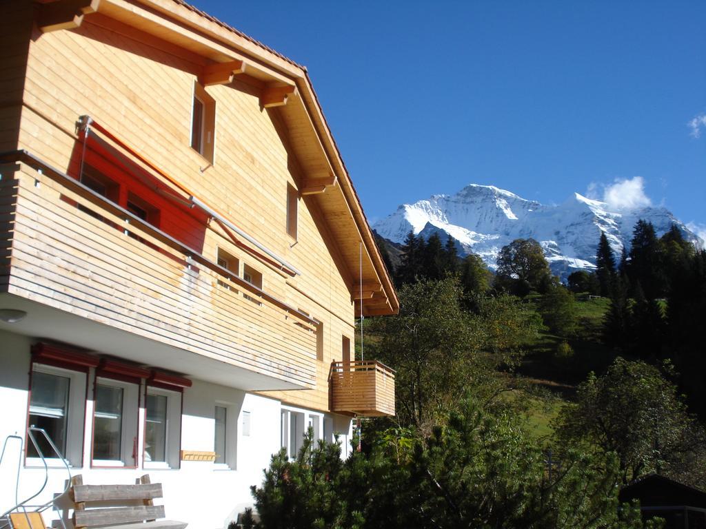 Chalet Viola Leilighet Wengen Eksteriør bilde