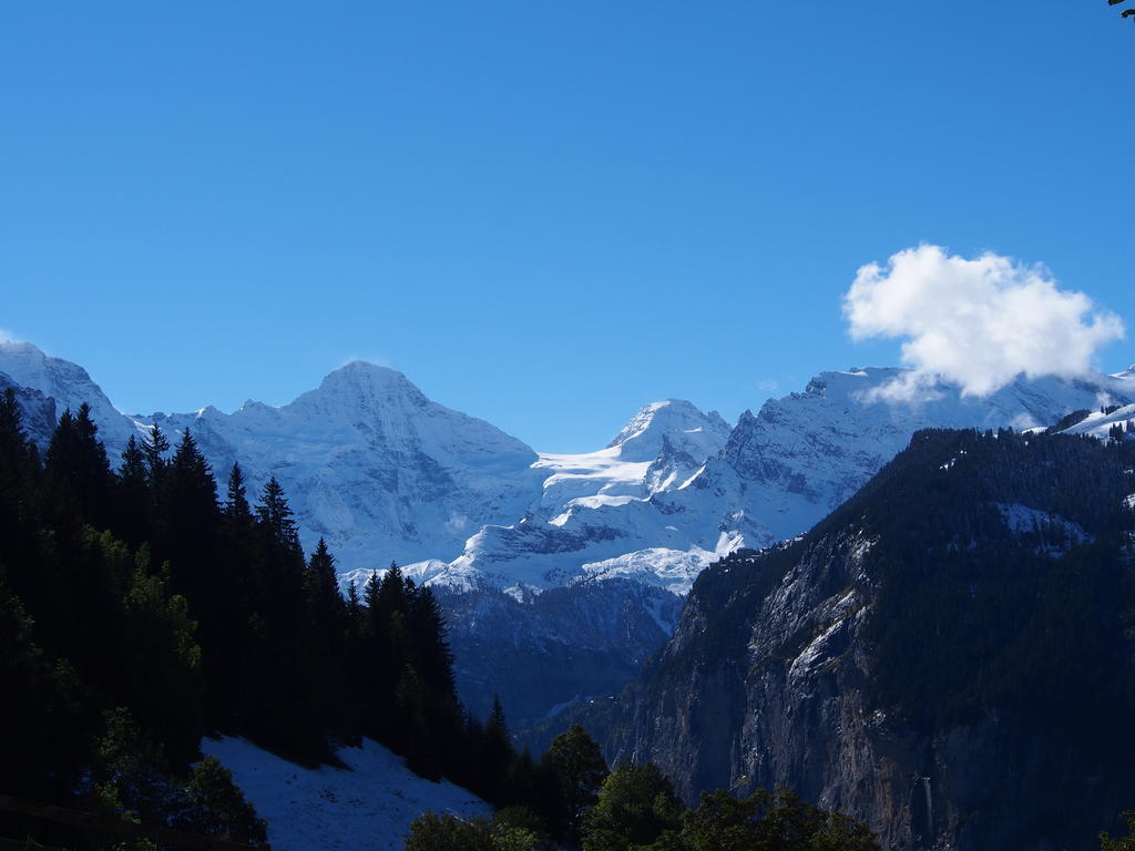 Chalet Viola Leilighet Wengen Eksteriør bilde