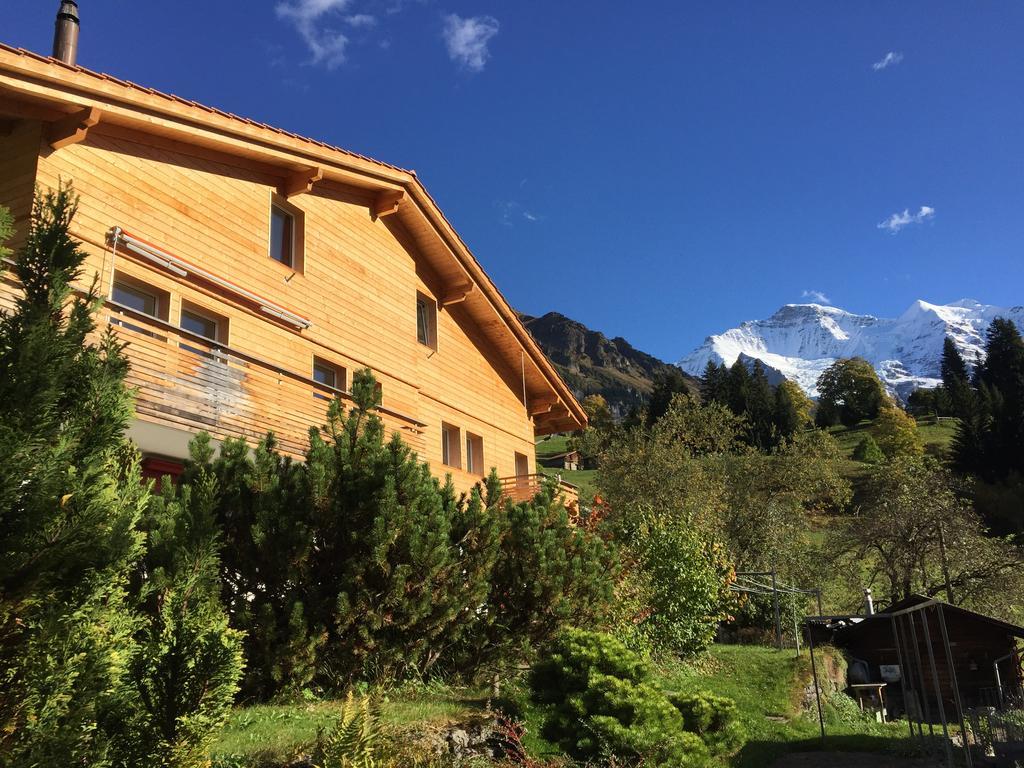 Chalet Viola Leilighet Wengen Eksteriør bilde